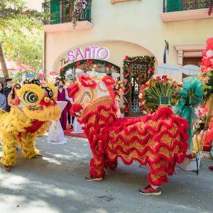 Dịch vụ Tổ chức khai trương doanh nghiệp